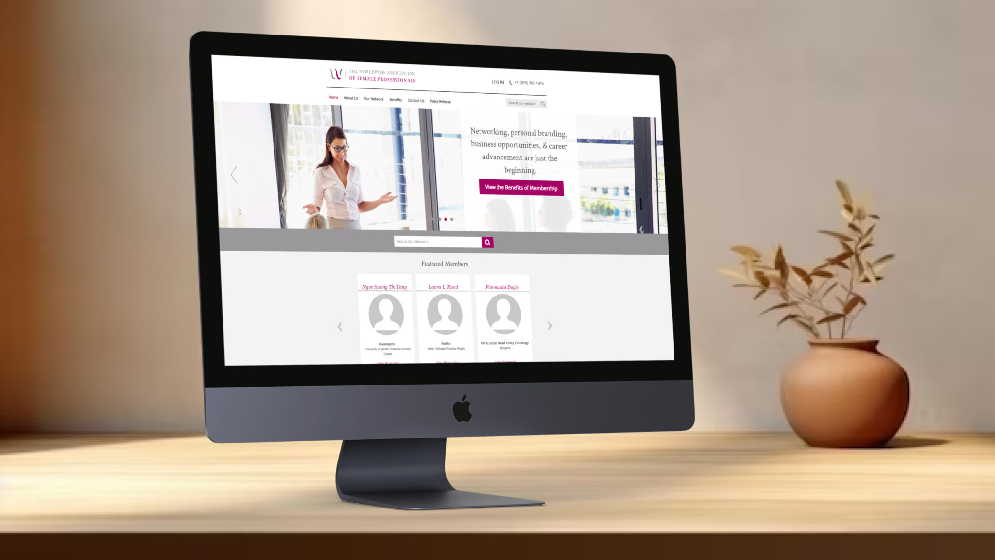 W Association of Female Professionals